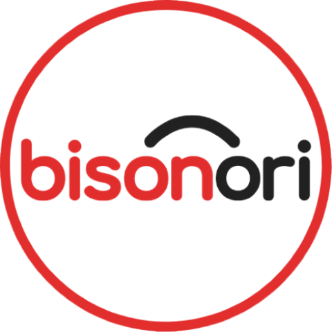 cropped-BISONORI-FAVICON-Small-1.png